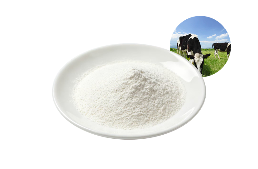 Casein Phosphopeptide